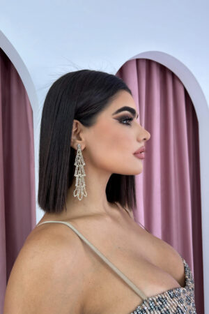 Chandelier Diamond Embellished Earrings
