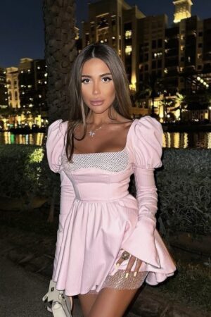 Long Sleeve Net Details Pink Mini Dress