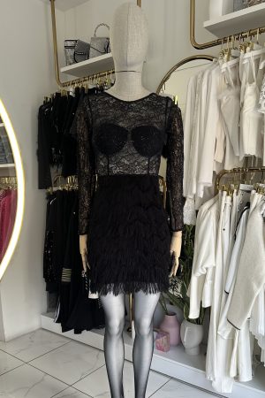 Long Sleeve Mesh Black Mini Dress